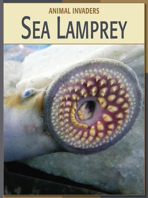 cover image of Sea Lamprey